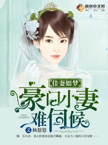 国之赘婿